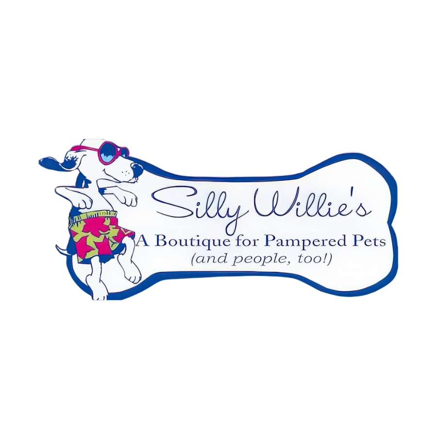 Testimonial Website Silly Willy 900x900
