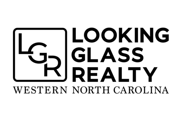 Website Partner Logos Enterprise Page Looking Glass (600x400)